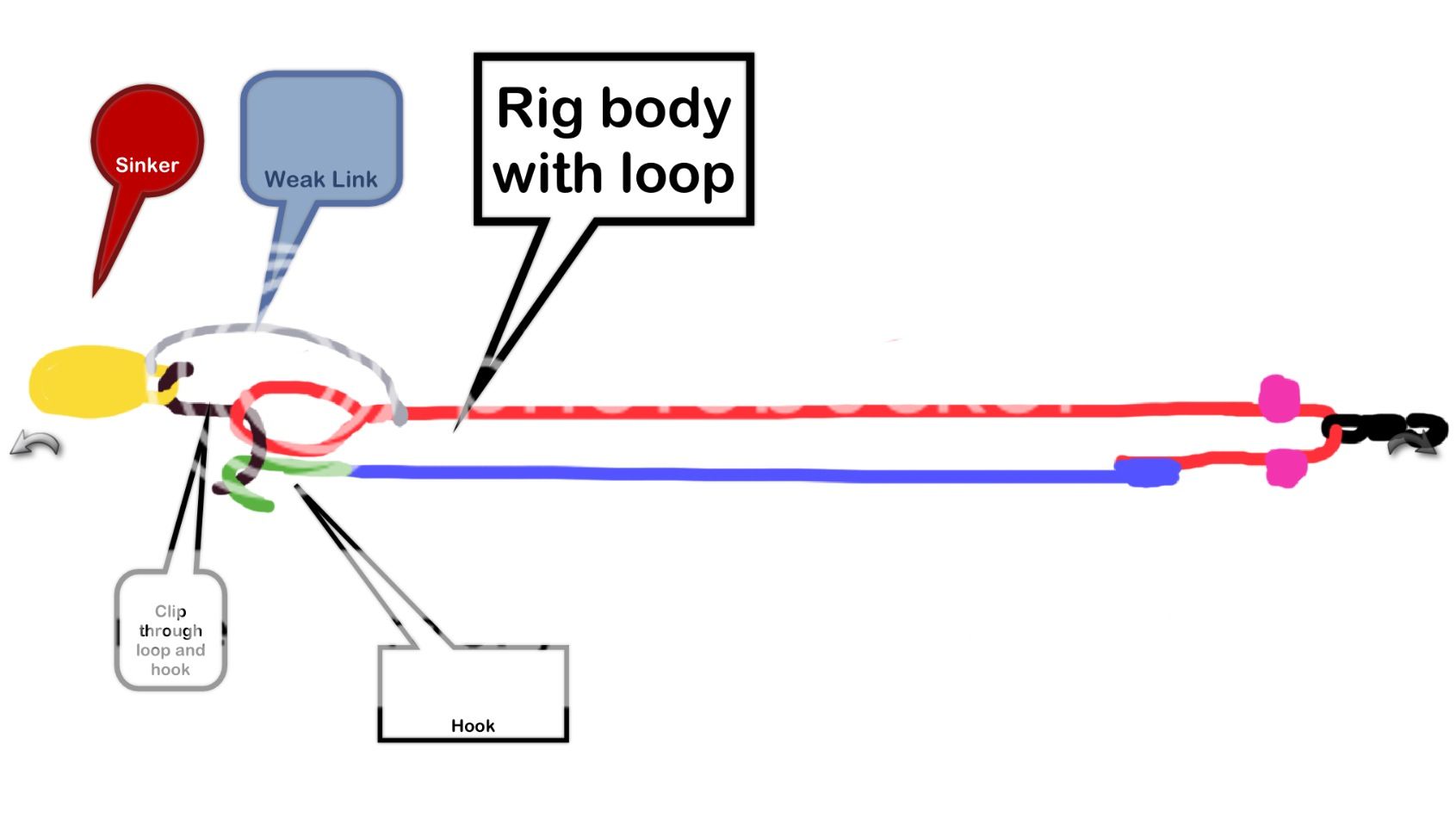 The best 'Rotten Bottom/Bait Clips' you will ever see.